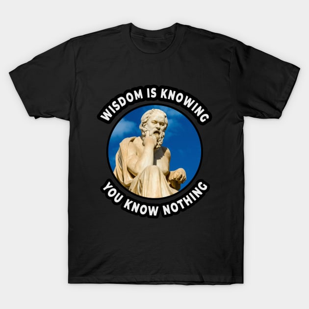 🏺 Wisdom Is Knowing You Know Nothing, Socrates Quote T-Shirt by Pixoplanet